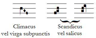 Spartiti-climacus-scandicus.jpg