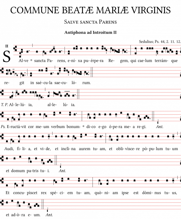 Salve-sancta-parens-antiphona-introitum.png