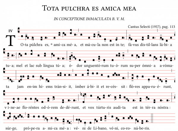 Tota-pulchra-es-amica-mea-antiphona.png
